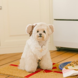 予約販売　Boucle Teddy Padded Jacket (cream)　※リボンブローチ別売　韓国犬服　　kiki&nini