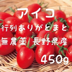 無農薬アイコ　八ヶ岳産　行列ありがとまと 約450g  味濃いめ