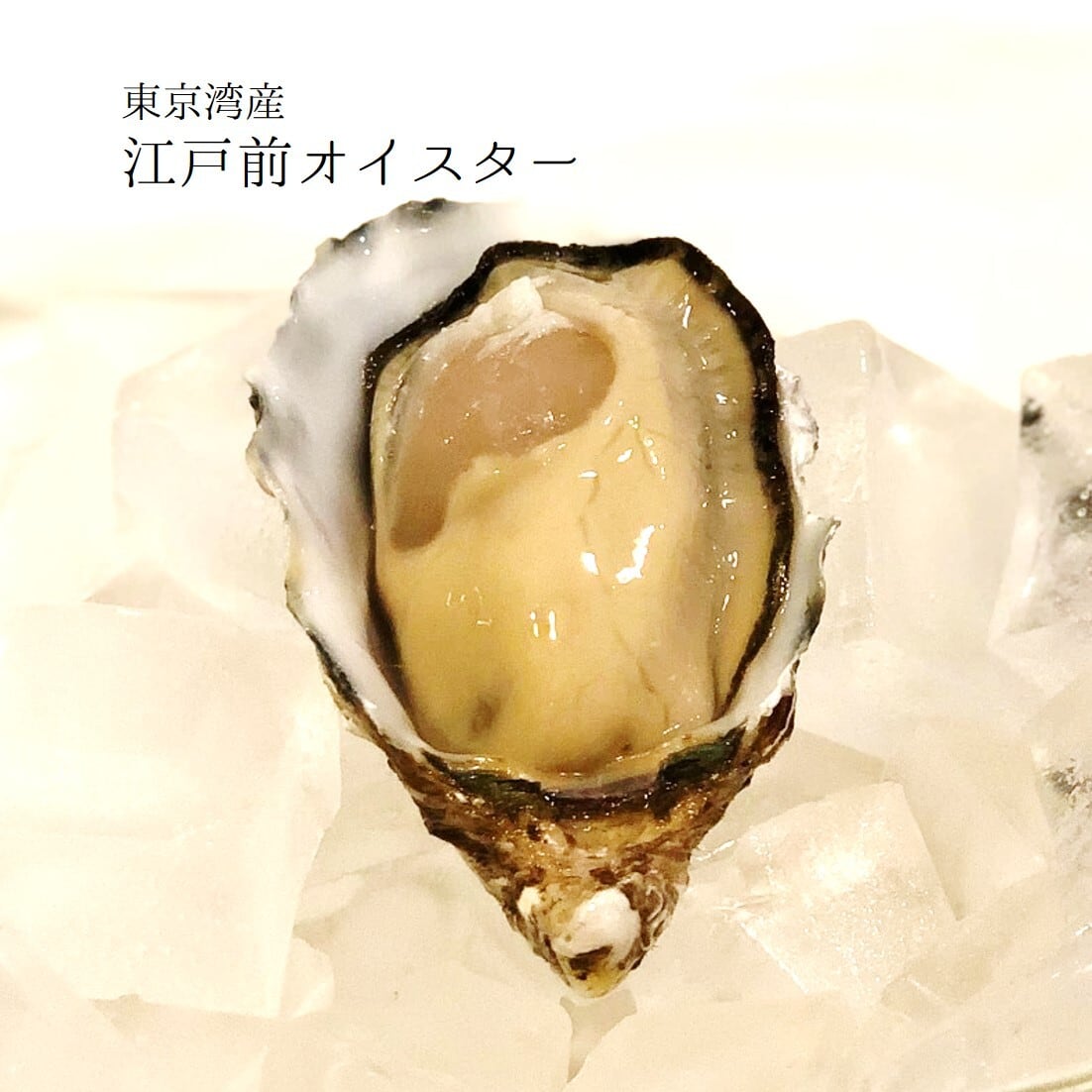 た*や様 オイスターのコ　牡蠣 江戸前オイスター 真牡蠣 殻付き牡蠣 生食用カキ 千葉富津産（50-80g/1