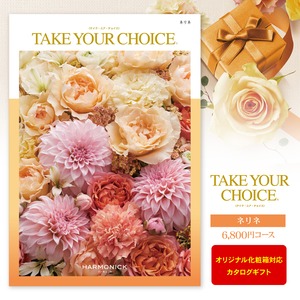 カタログギフト「TAKE YOUR CHOICE」＜6,800円コース＞ ※ゆうパケット便送料無料  内祝い お返し 出産内祝い 出産祝い 出産祝  結婚祝い 結婚内祝い 新築内祝い 入学祝 入学内祝い 快気祝い 引越し ギフト 名入れ 写真入り グルメ ギフトセット 入園内祝 初節句