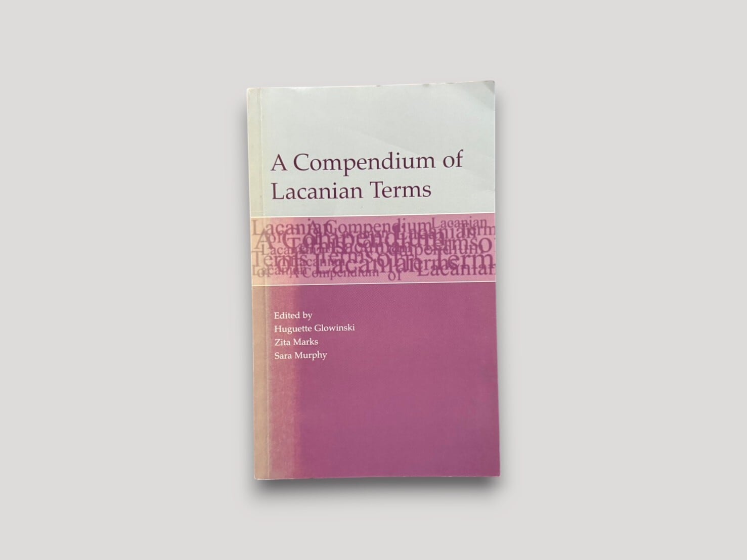 【SFF242】A Compendium of Lacanian Terms(2001) /Huguette Glowinski / Zita M. Marks / Sara Murphy