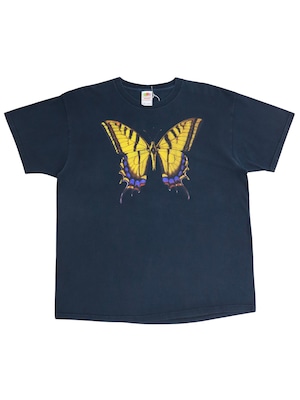 Real butterfly graphic XL