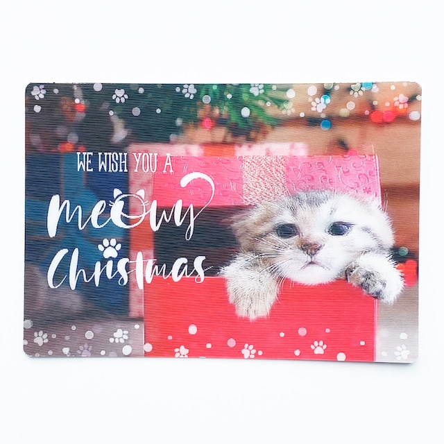 クリスマスカード　ねこ箱