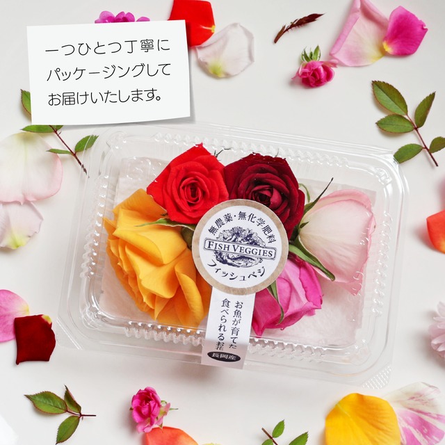 【FISH VEGGIES】エディブルローズ【中輪】5輪　化学肥料/化学農薬不使用だから安心して食べられる