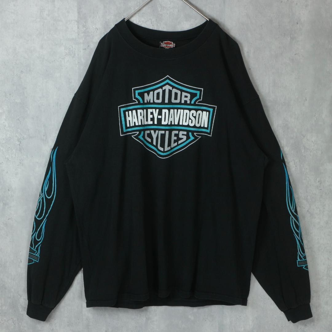 Harley-Davidson ハーレーダビッドソン 90s ロンT ブルーフレイム USA 
