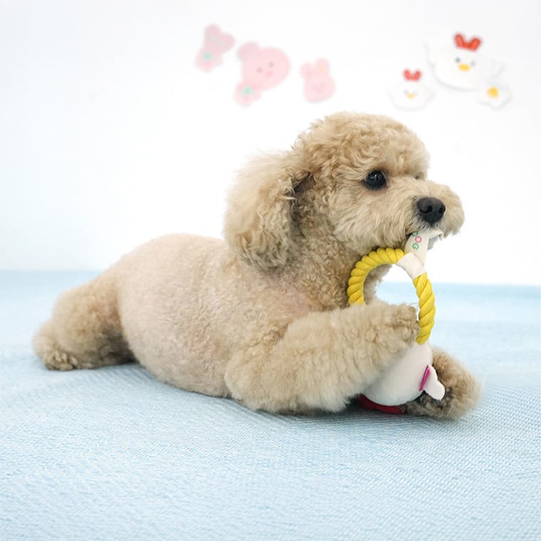 catch rope toy 4color 2type / ペット 犬 おもちゃ 噛む 音が鳴る ロープ 知育玩具 鳴き笛入り 可愛い わんちゃん おもちゃ ストレス解消 韓国 ペット用品
