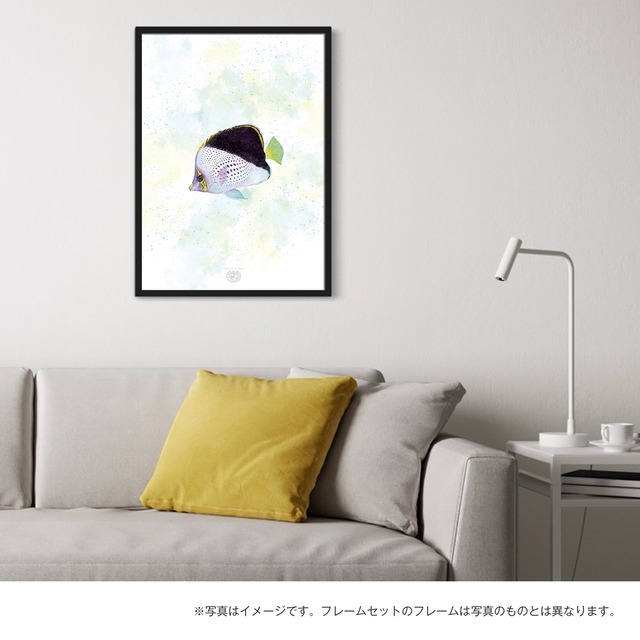 【海のいきものアートポスター／魚】ティンカーズバタフライフィッシュ