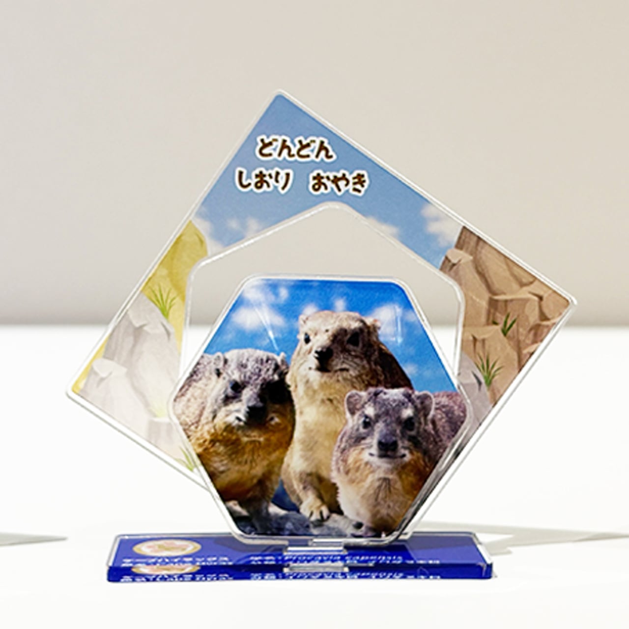 生活雑貨 | ZOOっとながの