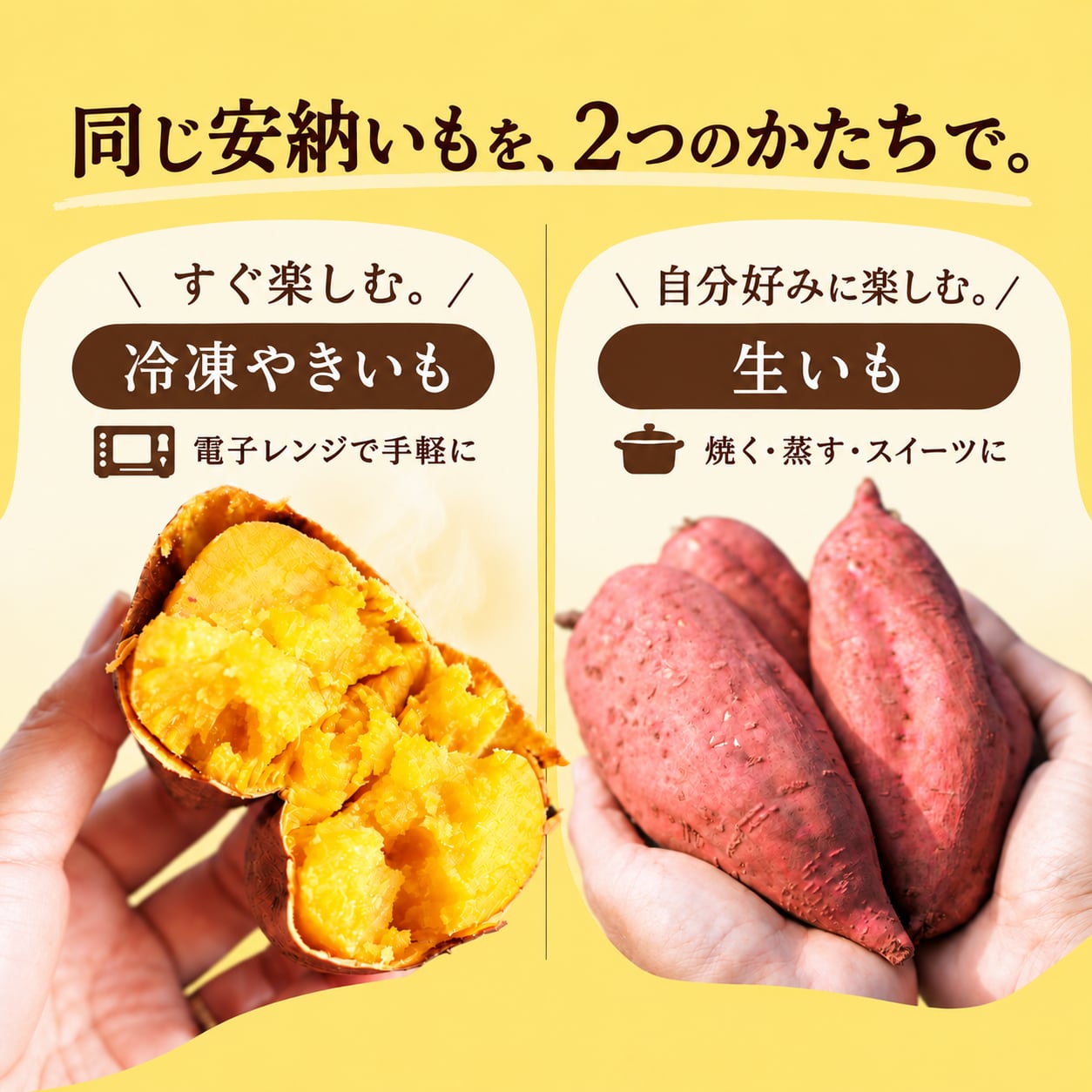 10/1〜15限定】2026年 新物解禁SET｜種子島生まれの安納やきいも＋熟成