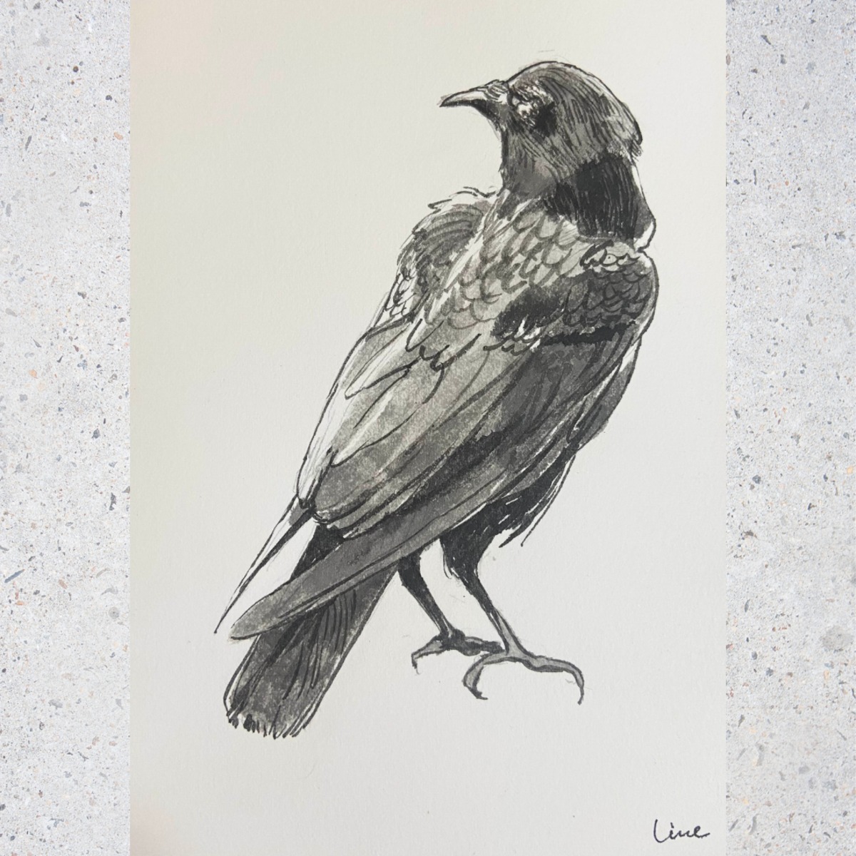 鉛筆画「鴉」2021年作製 鉛筆画「鴉」2021年作製 鉛筆画「鴉」2021年作製 （鴉 | Art