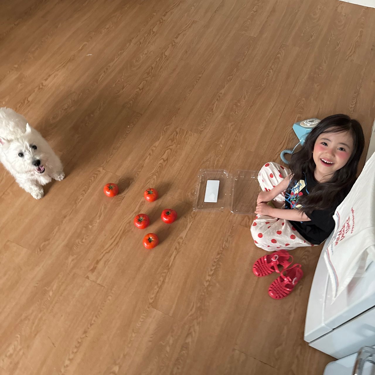 [ninibello] Nini Summer Relax Pants / [니니벨로] 니니썸머고쟁이