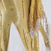 社交ダンス 衣装 クリスアン CHRISANNE イングランド製 スタンダードドレス ワンピース ドレス ホワイト系 ゴールド系 白 金 デモ 競技 ダンス パーティ 発表会 レース フロート レディース ゴージャス 大人かわいい エレガント