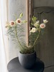 レア　　セルリアの鉢花　器セット