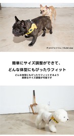 【PUPPYGALLERY公式】アトランタVハーネス　予約　XL