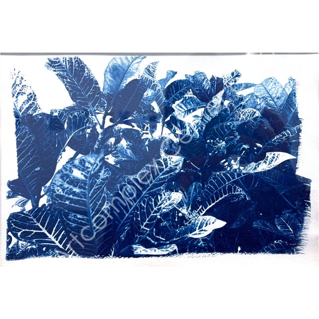 やましたみか「Kona」