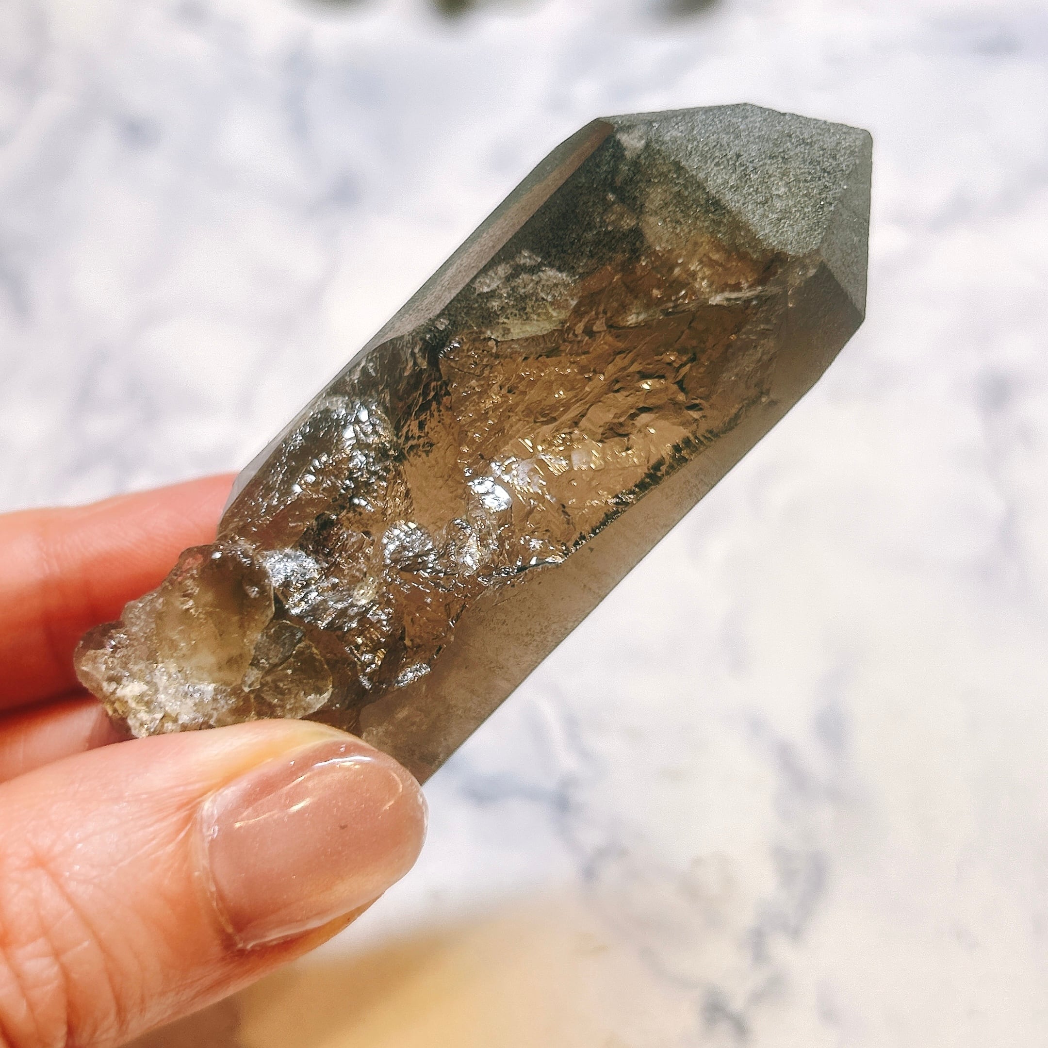 19497】アルプスの煙水晶 スイス アルプス ガレンシュトック産