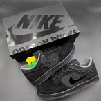 DIVISION STREET NIKE DUNK LOW UO LUXE OREGON BLACK HV1470-001