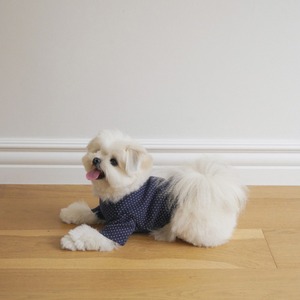 【予約】[ togethering ] Eyelet Crop T-Shirt｜Dot