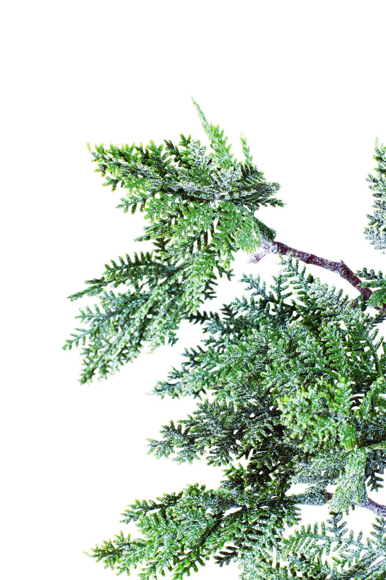 サイプレススプレー　　FS-6121GR　4961823411403　造花（アーティフィシャルフラワー） > シーズン造花