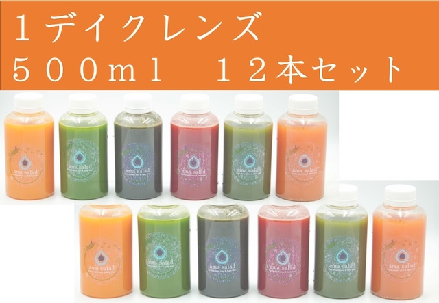 2デイクレンズplus【ボトル５００ml】（12本セット）