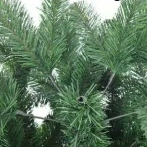 クリスマスツリー 大きめ 全長180cm 松ぼっくり おしゃれ かわいい