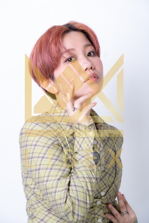 ショート（売り切り写真）　002700-4