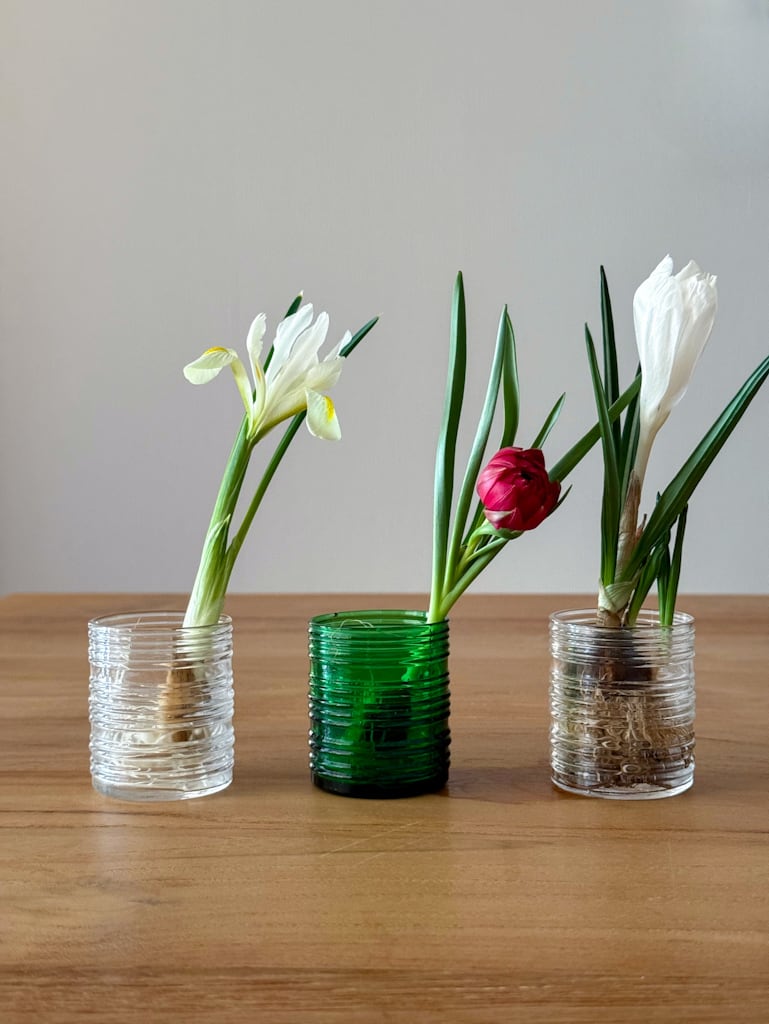 Iittala Rustica／イッタラ ルスティカ ショットグラス クリア