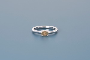 no.109 A RING