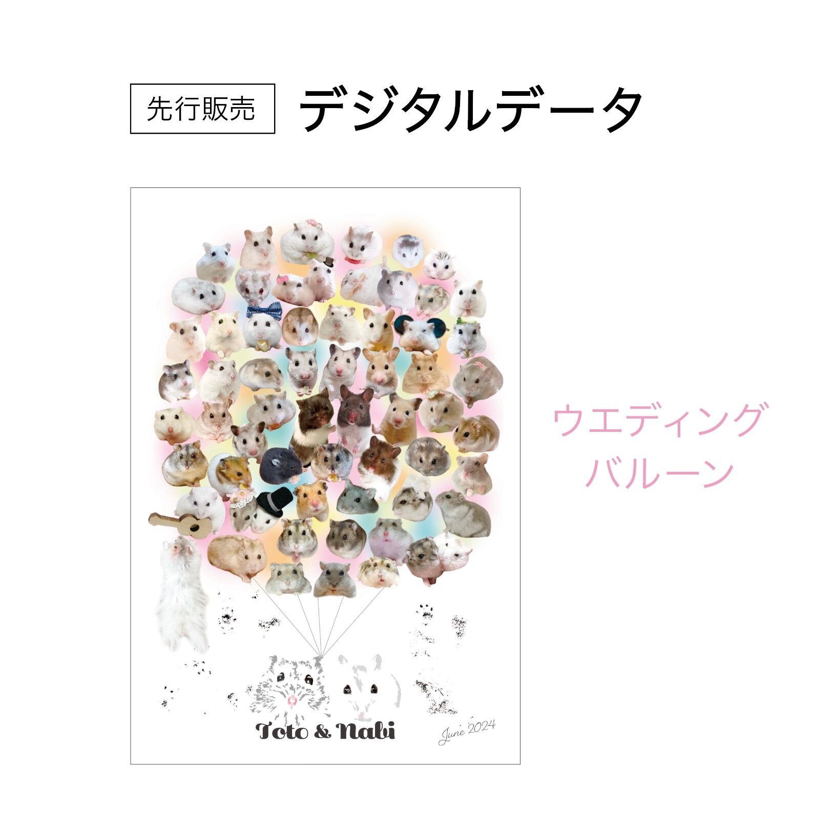 デジタルデータ」ウエディングバルーン | TORO Cafe (micoeco)