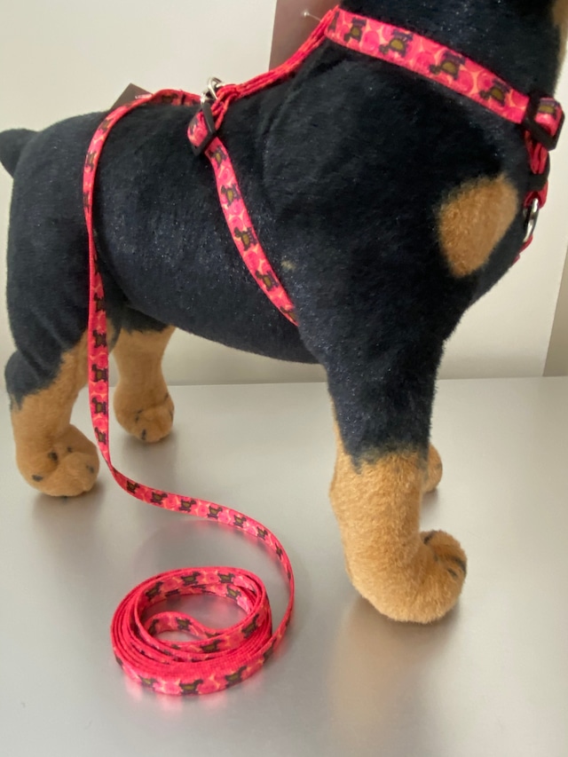 スケートボードライフ  ローマンハーネス＋リードセット XSサイズ - Yellow Dog Design