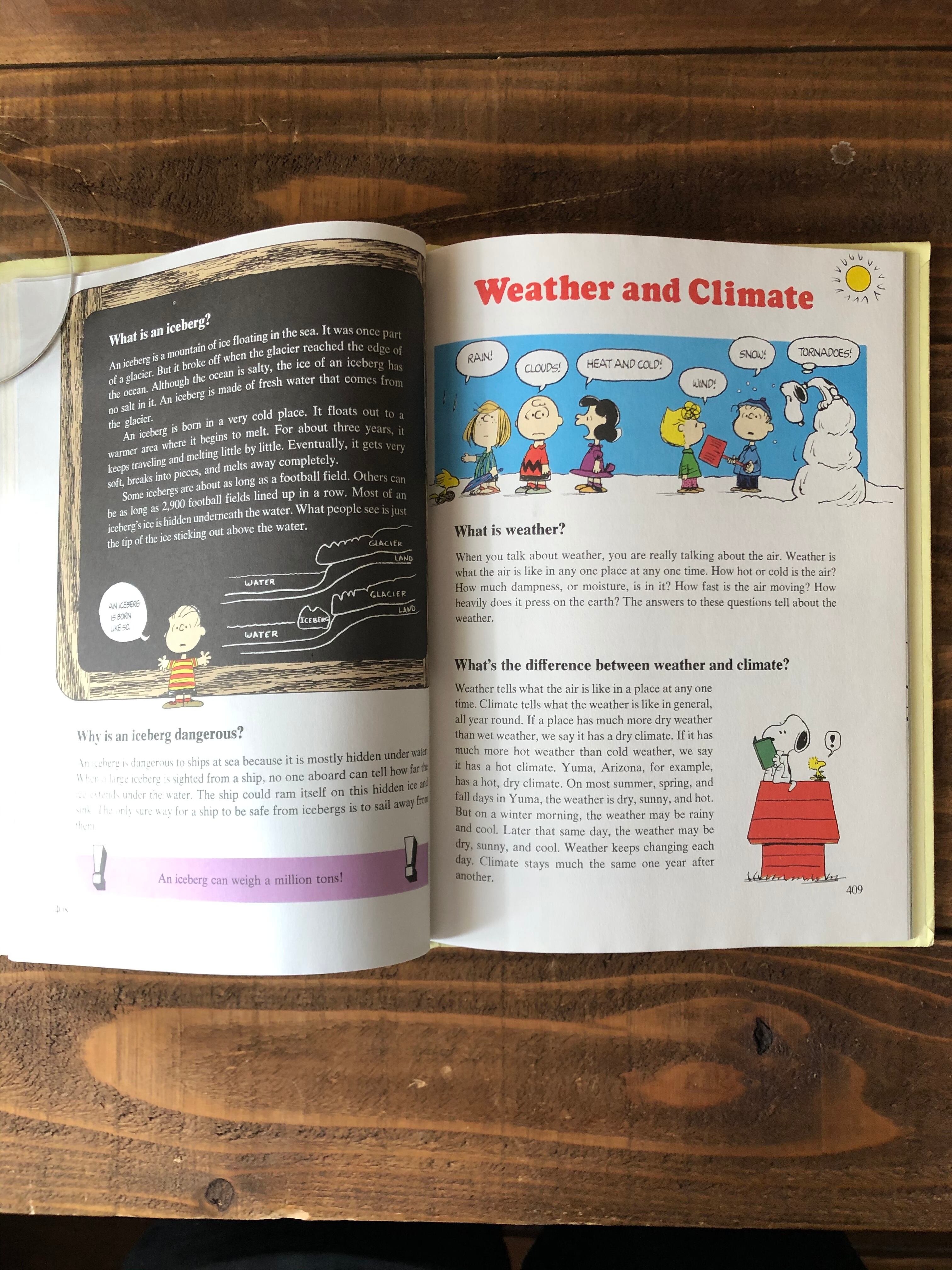 VINTAGE SNOOPY BOOK /チャーリーブラウン スヌーピー 百科事典 絵本