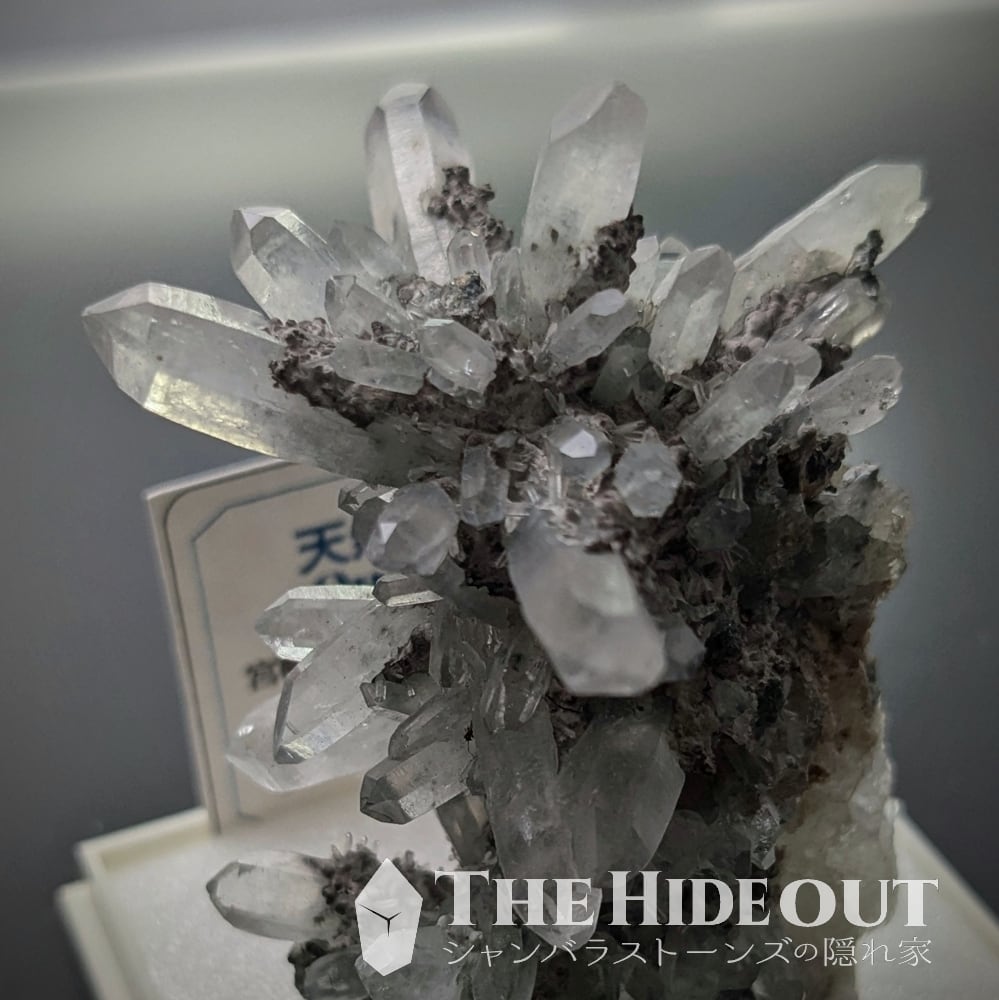 日本国産鉱物標本019 宮崎県臼杵郡日之影町乙ヶ淵（苔土フォイト電気石