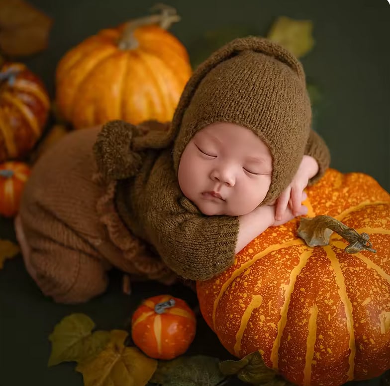 Lかごセット【ブラウン馬】ニューボーンフォト撮影衣装 小道具 干支