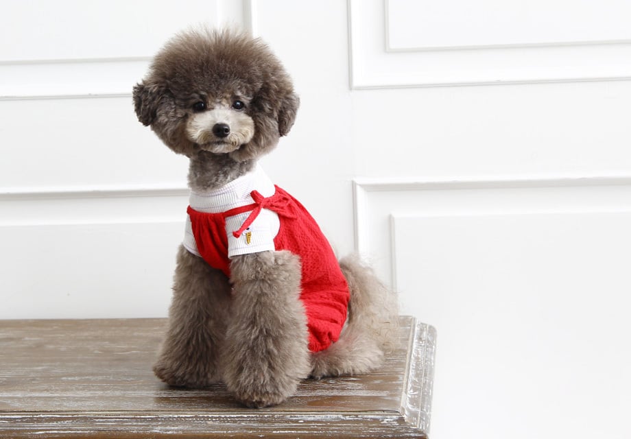 vienna romper S ~ XL 2color / 犬服 オールインワン 韓国犬服 ドッグウェア ロンパース ふんわり ボリューム感 ゆったり 袖なし つなぎ 小型犬中型犬 無地 シンプル