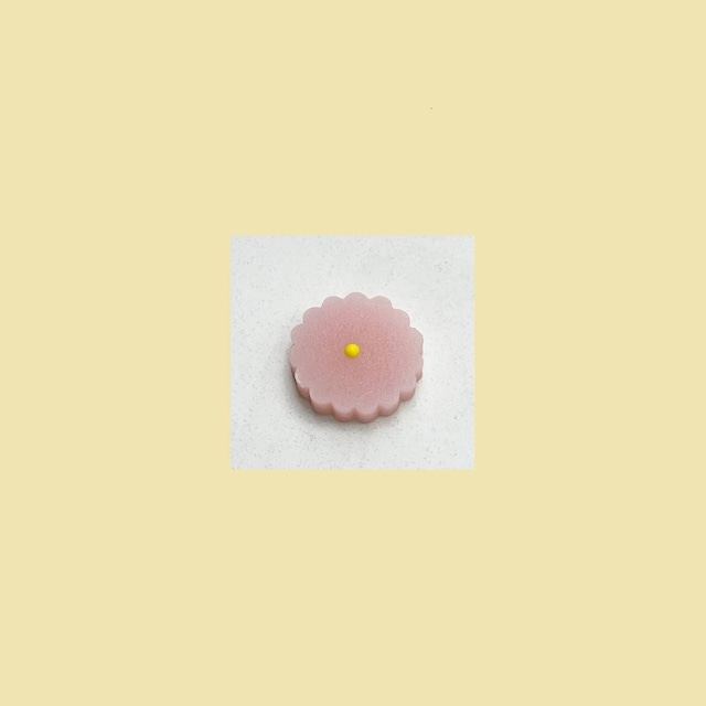 ９月の干菓子　菊の花　小（きくのはな）