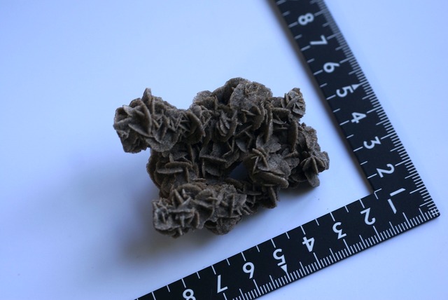 デザートローズ　Desert Rose　(B)