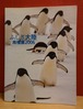ふしぎ大陸南極展2006　図録
