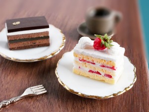 【ミニチュア】王道ケーキ２種