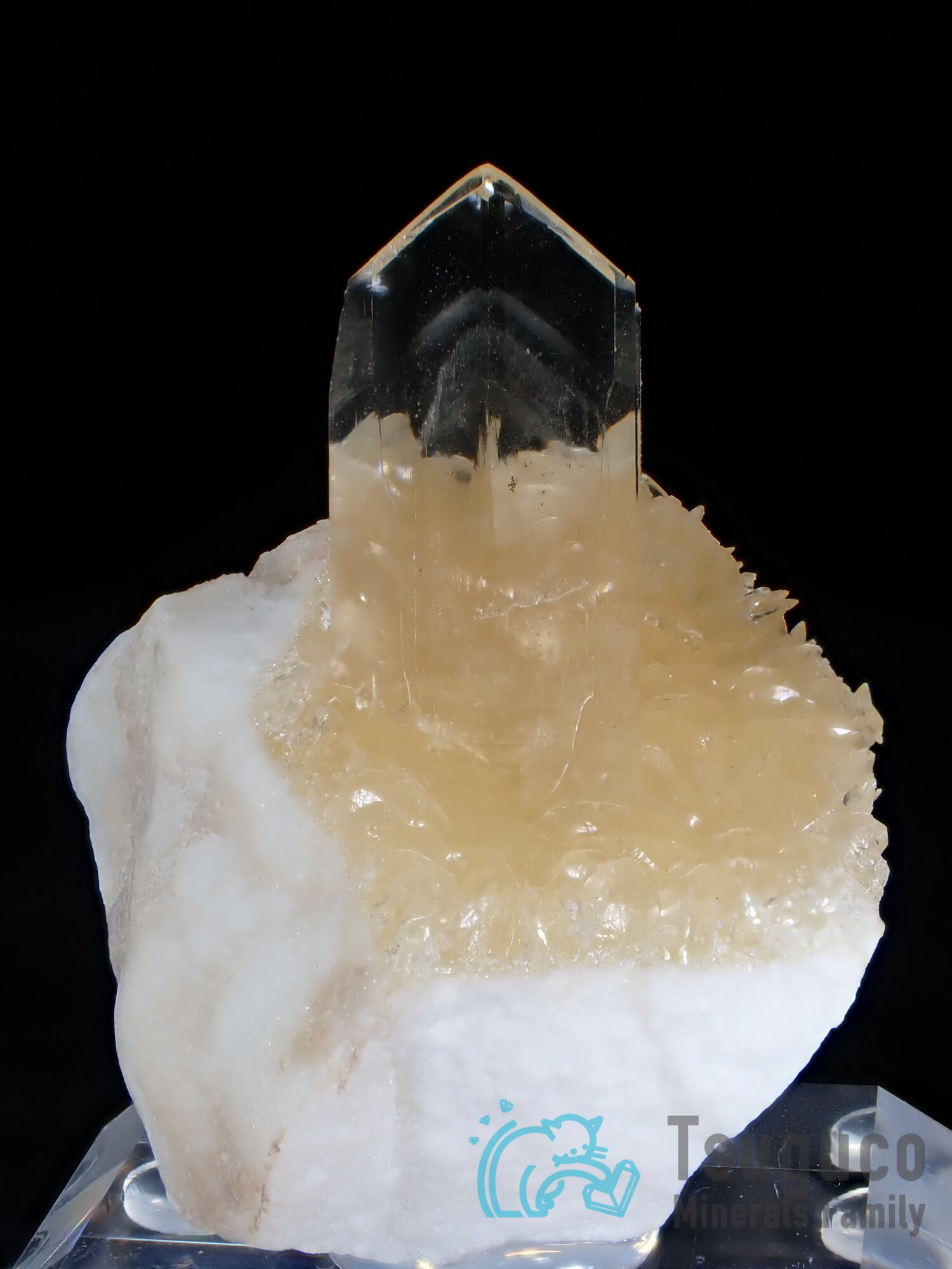 セレナイト 透石膏 スペイン TM-718 | つぐこみねらるず ｜鉱物・原石