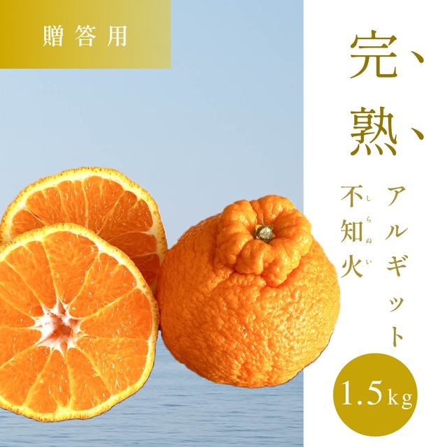 【贈答用】完熟アルギット不知火(露地)約1.5kg 【のし対応可】糖度センサー検品 【2月中旬頃から順次発送予定】