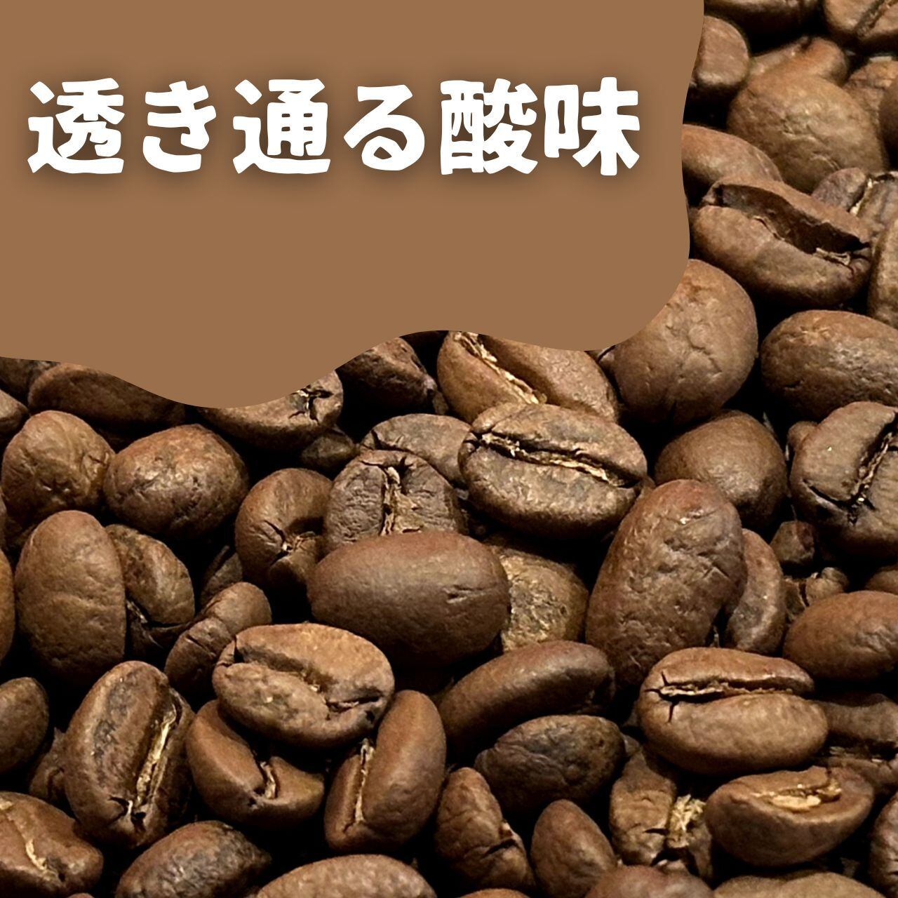 714coffee｜シングルオリジンの自家焙煎珈琲豆販売