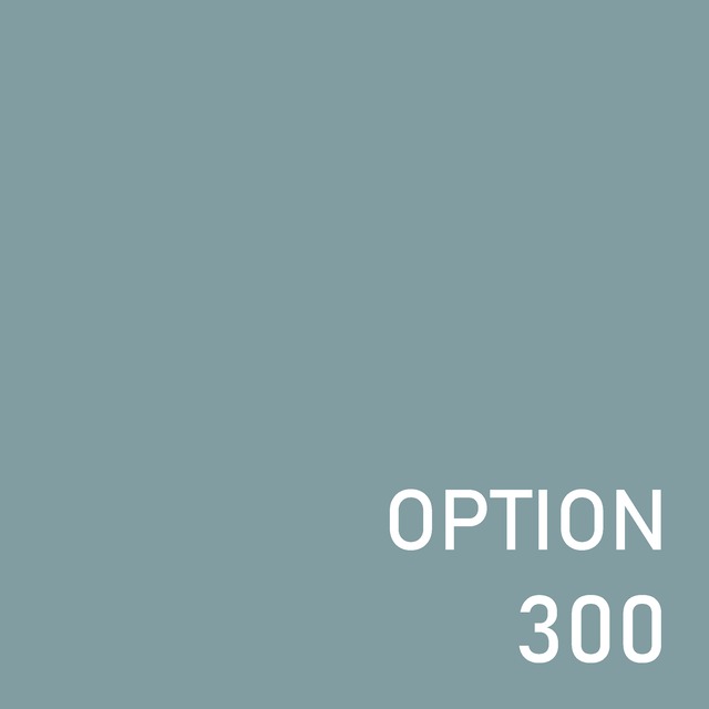 オプション500