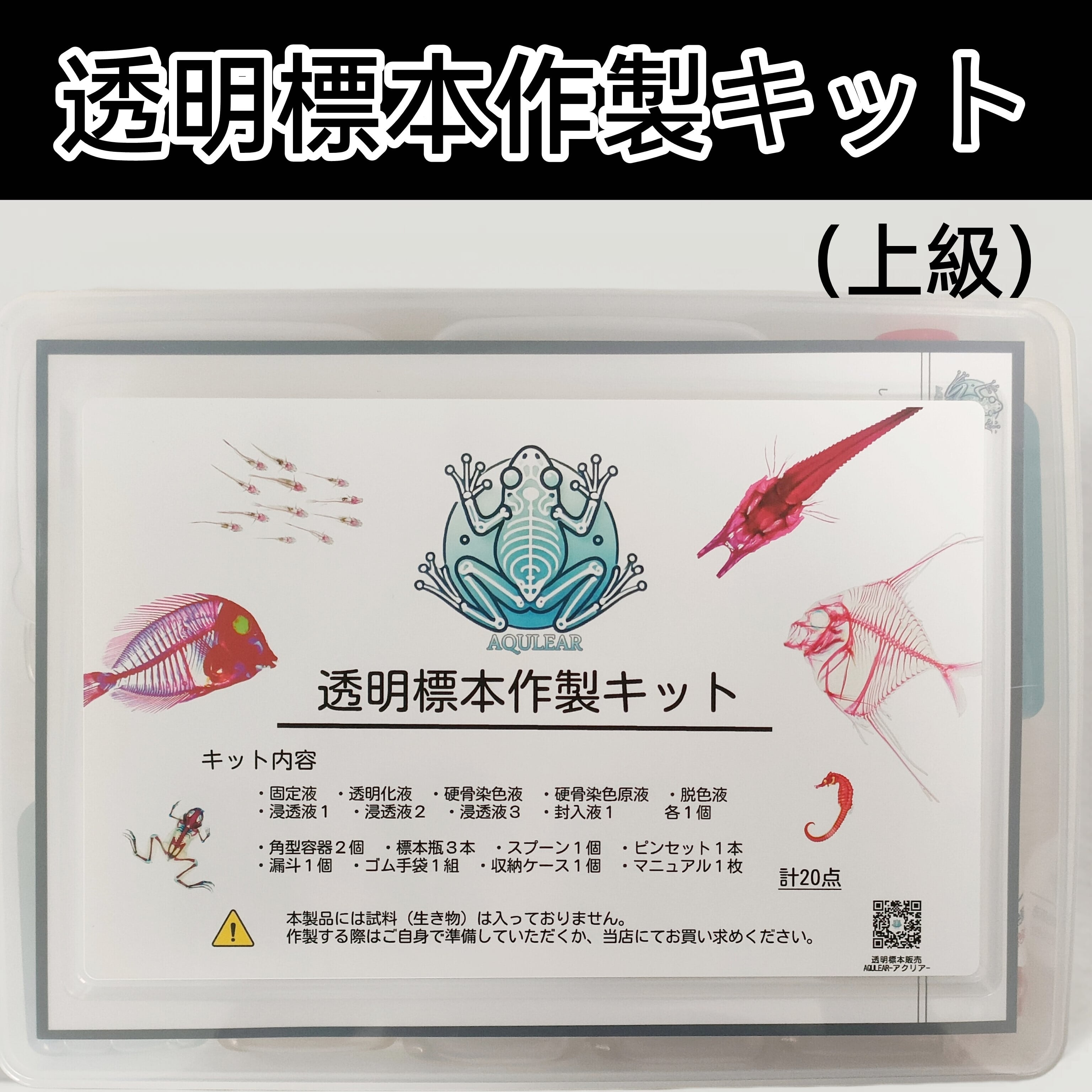 【透明標本作製キット】(上級) 20点 自由研究 学習教材 改良版 透明標本作製キット】(上級) 20点 自由研究 学習教材 改良版