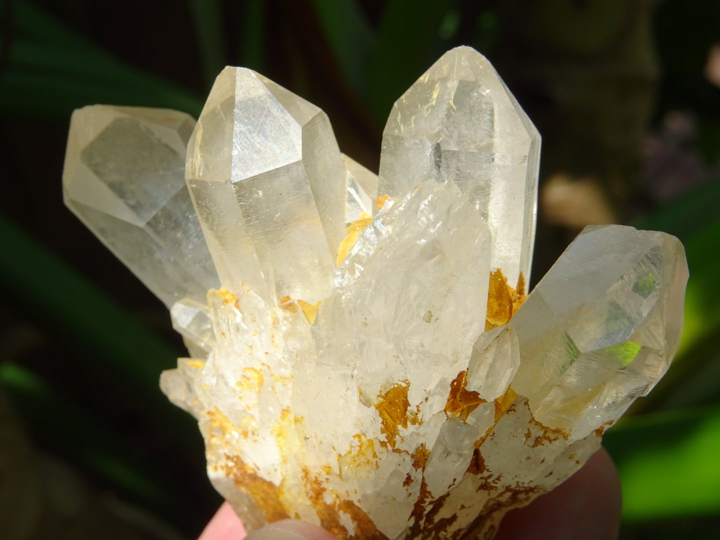 アバンダンス・クリスタル」 | 虹石屋 