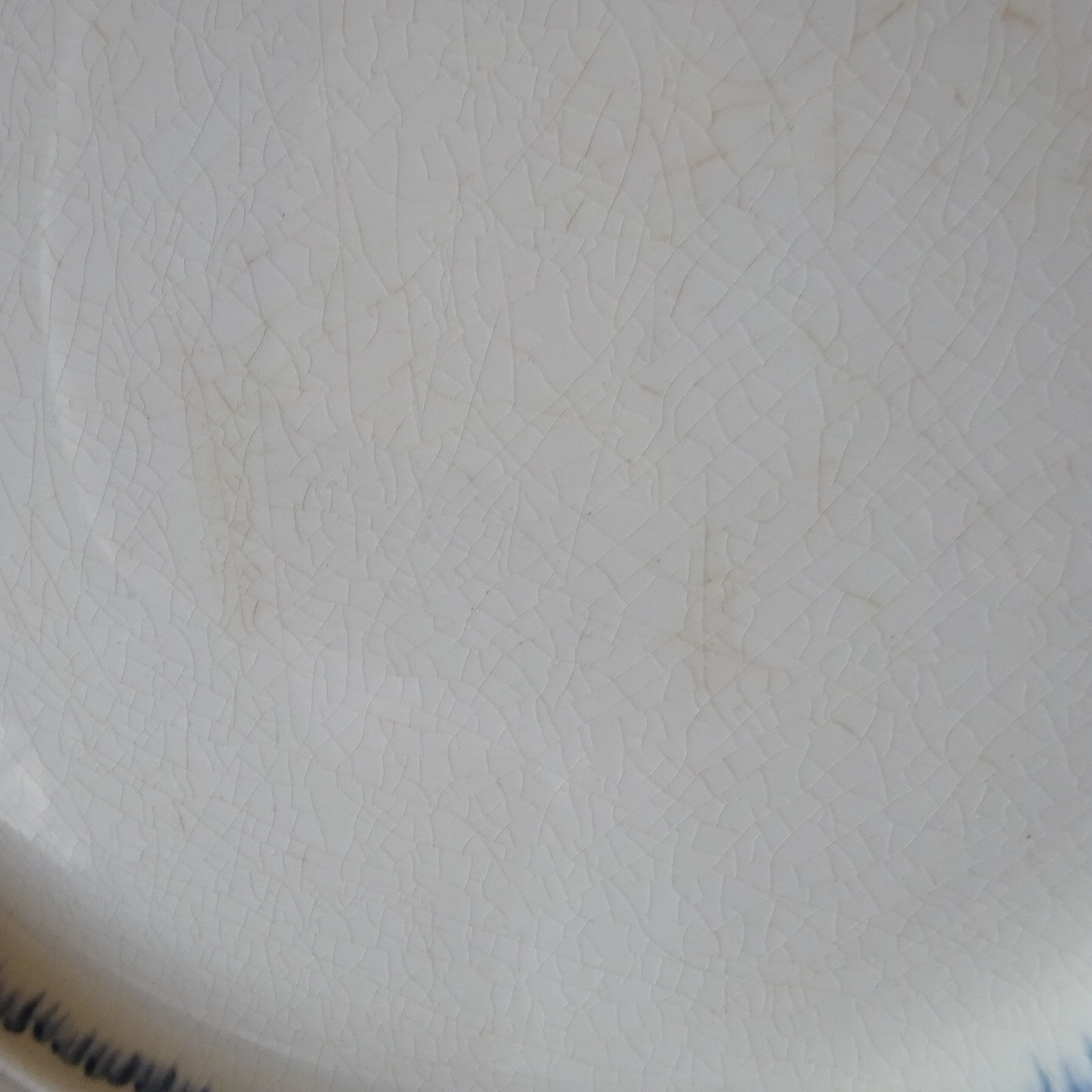 【 Nouveauté 】☆U & C SARREGUEMINES modèle《AÏDA》assiette plate (C)