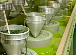 八女 抹茶 榮林（エイリン） 30g缶 | 柳屋茶舗