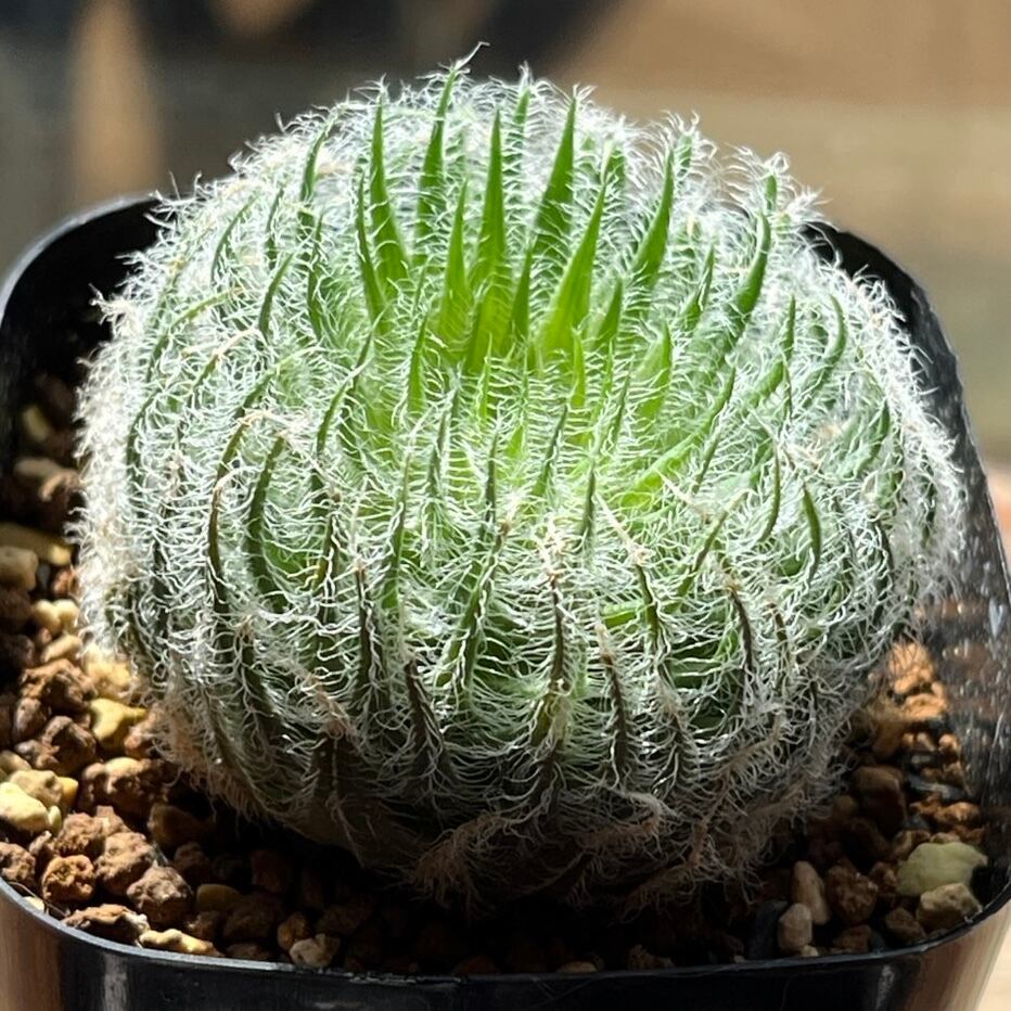 db23ce3a3d9da7a88222fe0cf935a9