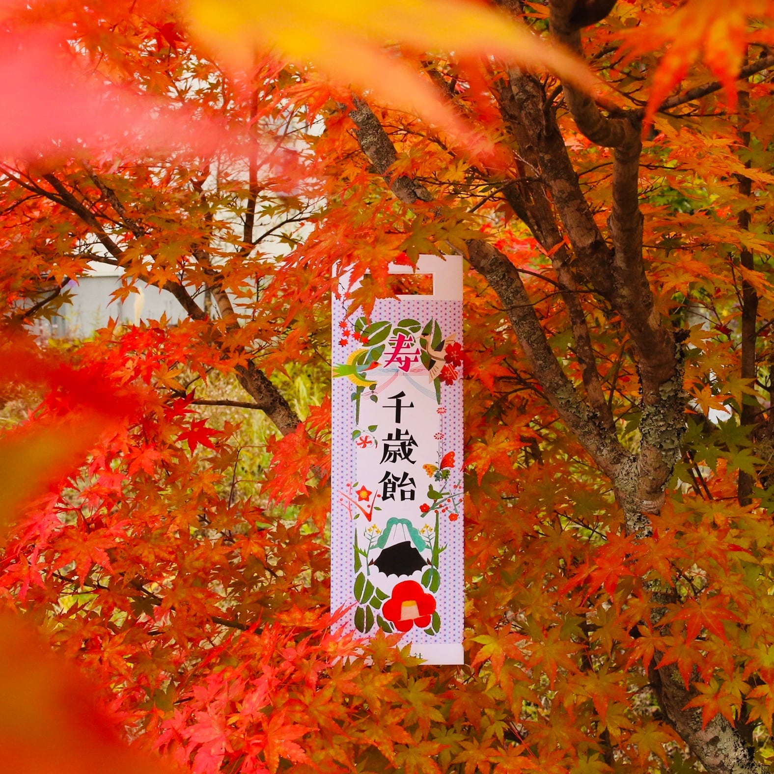 【袋のみ】復刻千歳飴袋(大)|PB11-02