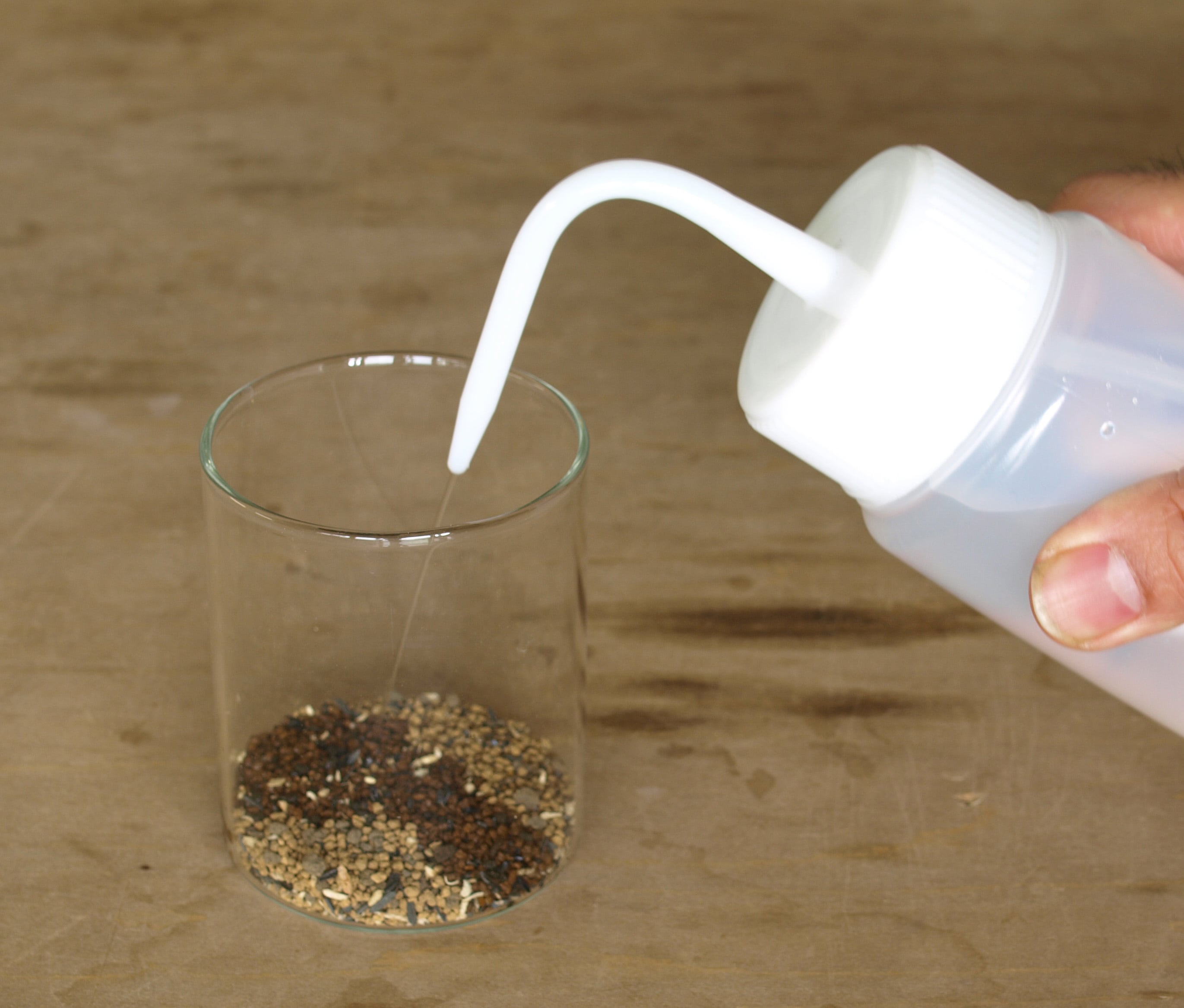 広口洗浄瓶250ml【水差し】【苔テラリウム作製用ツール】 | 苔