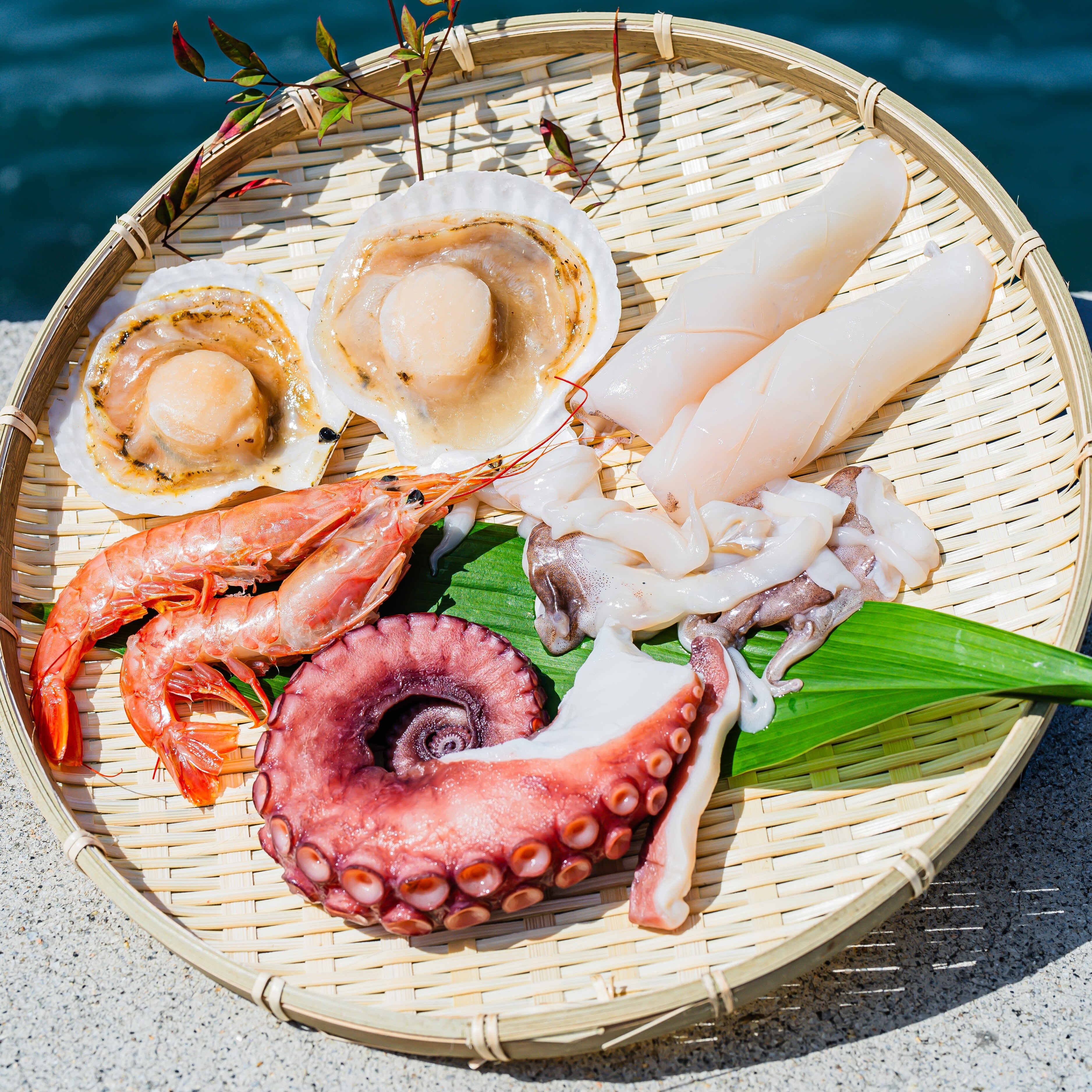 db2a3e37b74862841d7e3916fb6b88